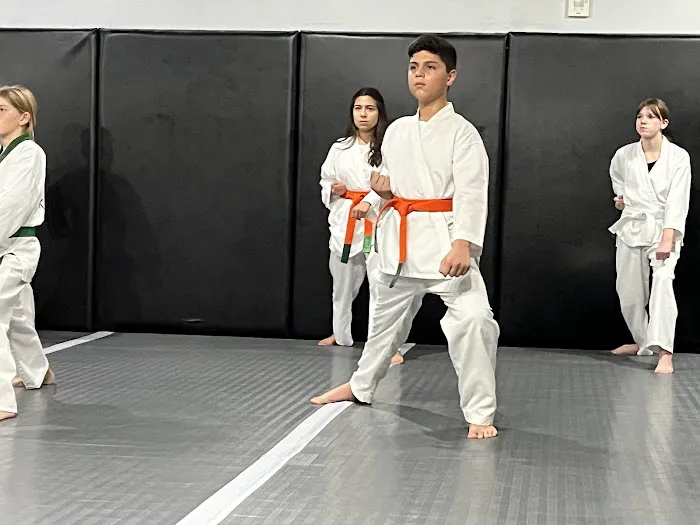 Training Ground Picture 4