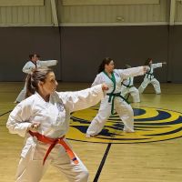 Owasso Soo Bahk Do ico