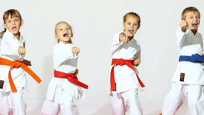 Martial Arts Advantage Picture 2