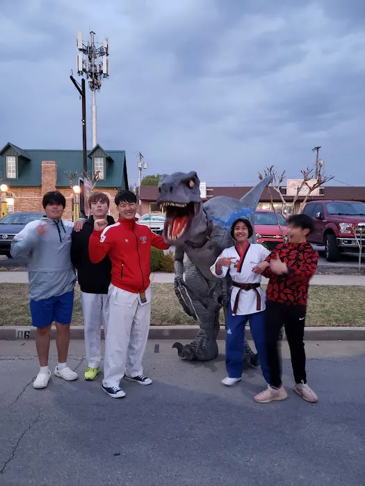 Golden Dragon Taekwondo - Owasso Picture 8