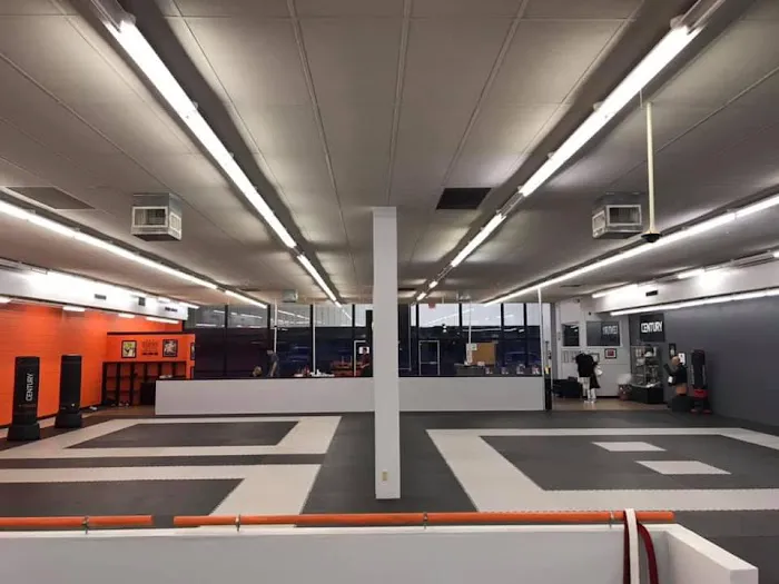 Crimson Sparrow Martial Arts Picture 3