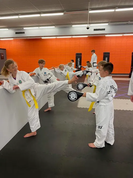 Crimson Sparrow Martial Arts Picture 2