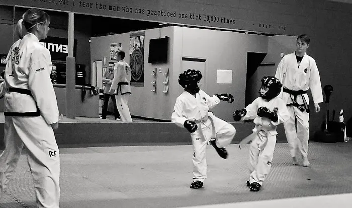 Crimson Sparrow Martial Arts Picture 6