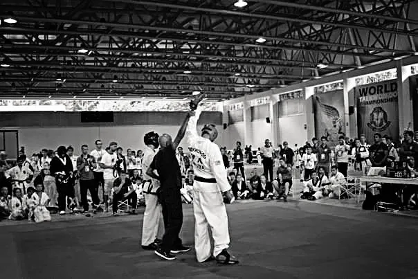 Crimson Sparrow Martial Arts Picture 7