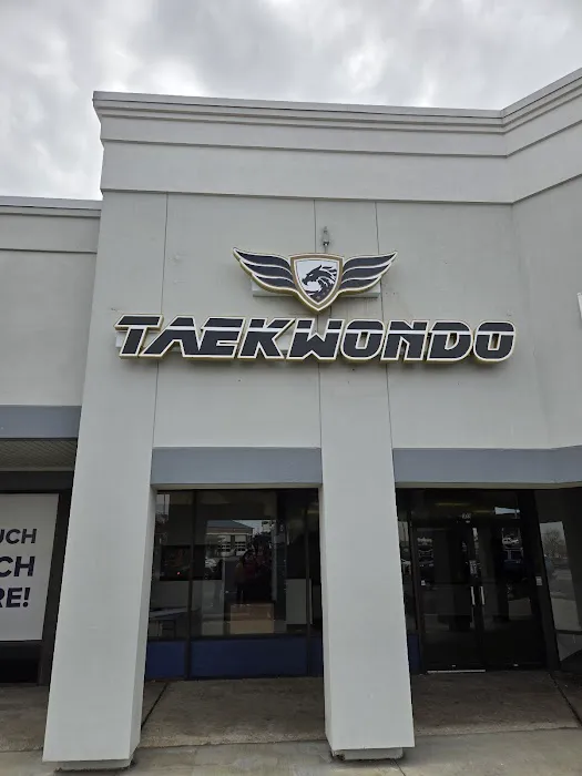 Golden Dragon Taekwondo - Broken Arrow Picture 1