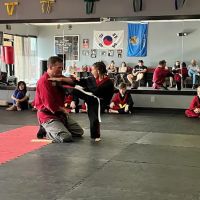 WMA Martial Arts ico