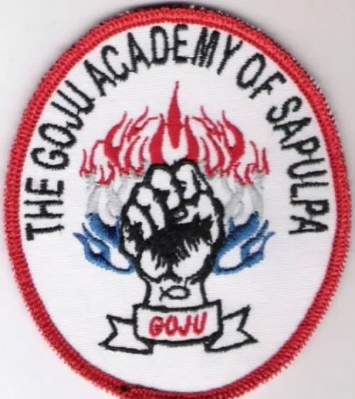 Goju Academy of Sapulpa Picture 3