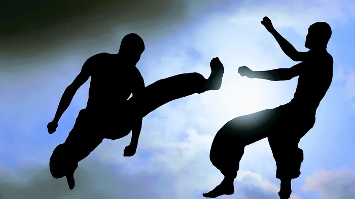 Goju Academy of Sapulpa Picture 2