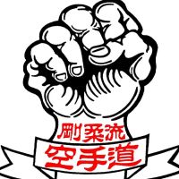 Goju Academy of Sapulpa ico