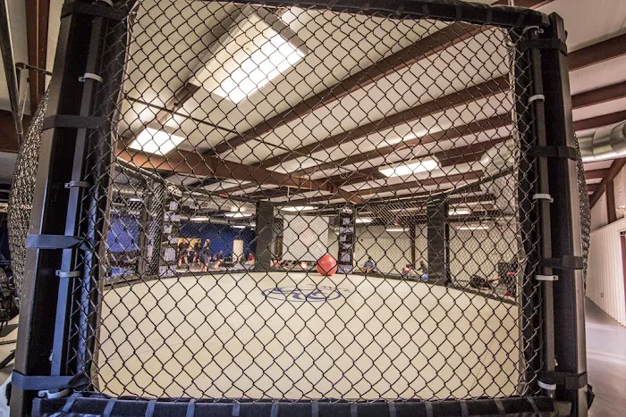 Clinch Martial Arts Academy - Owasso Picture 6