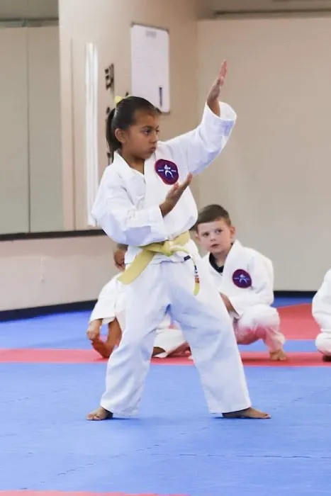 Shiever’s Martial Arts Picture 1