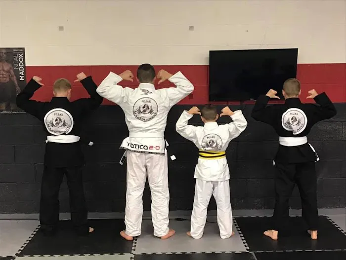 Pejak Martial Arts Picture 1