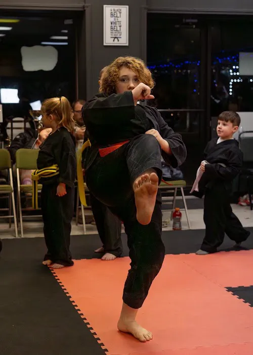 Japanese Martial Arts Academy Picture 4