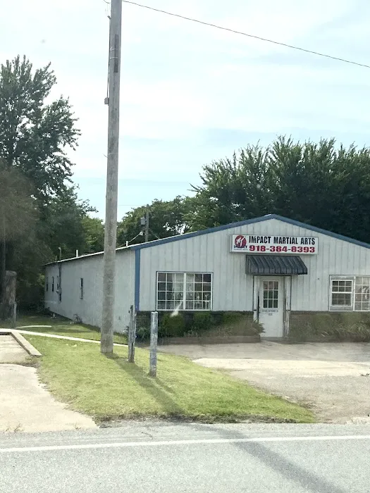 Impact Martial Arts Picture 1