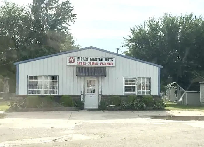 Impact Martial Arts Picture 2