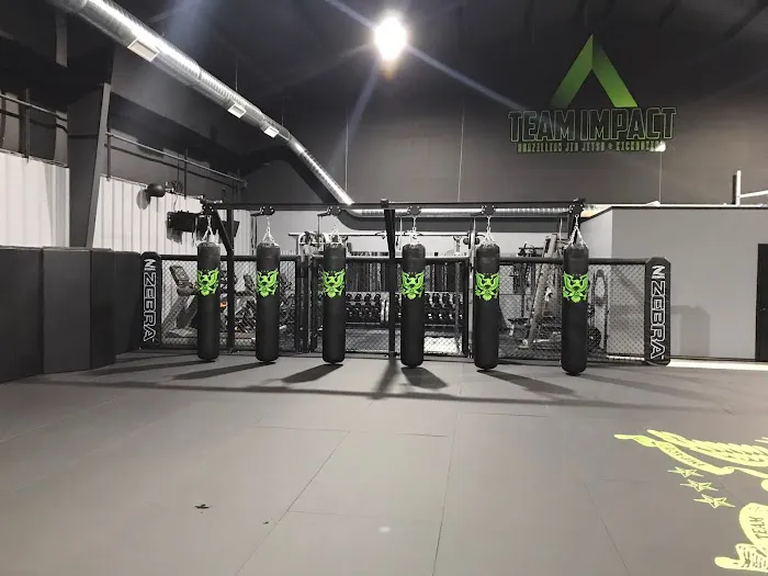 Team Impact Brazilian Jiu Jitsu & Kickboxing Picture 1