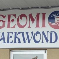 Geomi Taekwondo ico