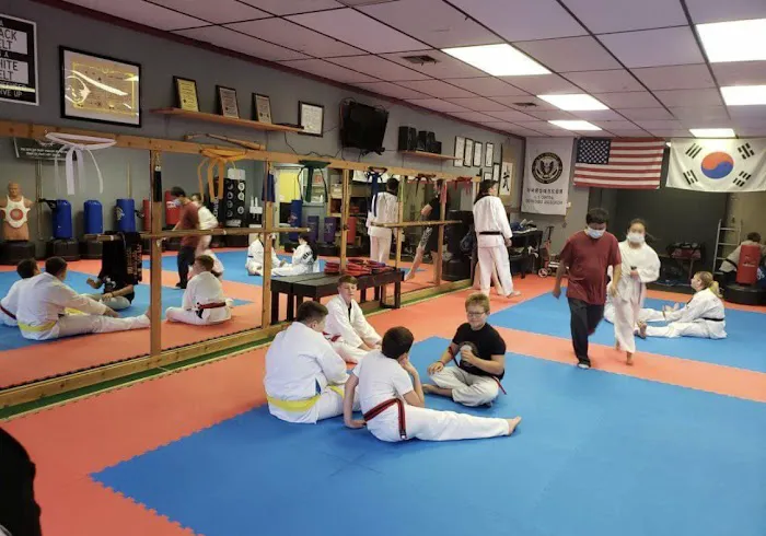 Geomi Taekwondo Picture 3