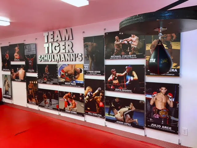 Tiger Schulmann's Martial Arts (Chelsea, NY) Picture 2