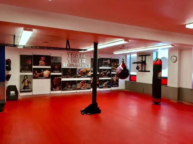 Tiger Schulmann's Martial Arts (Chelsea, NY) Picture 3