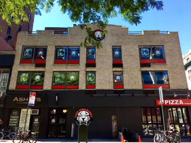 Tiger Schulmann's Martial Arts (Chelsea, NY) Picture 1