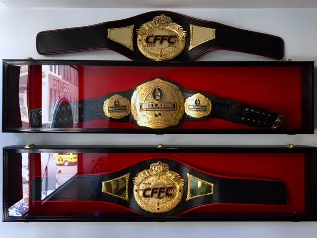 Tiger Schulmann's Martial Arts (Chelsea, NY) Picture 5