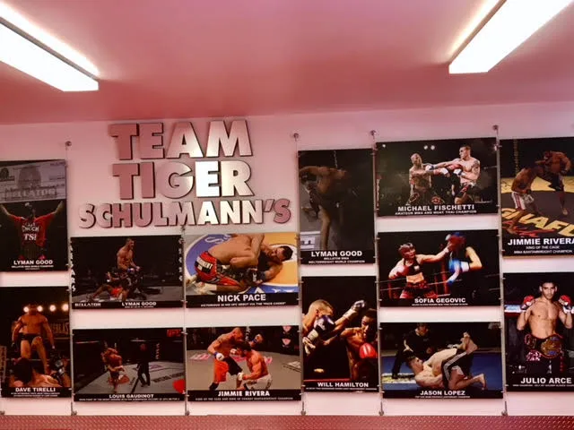 Tiger Schulmann's Martial Arts (Chelsea, NY) Picture 6