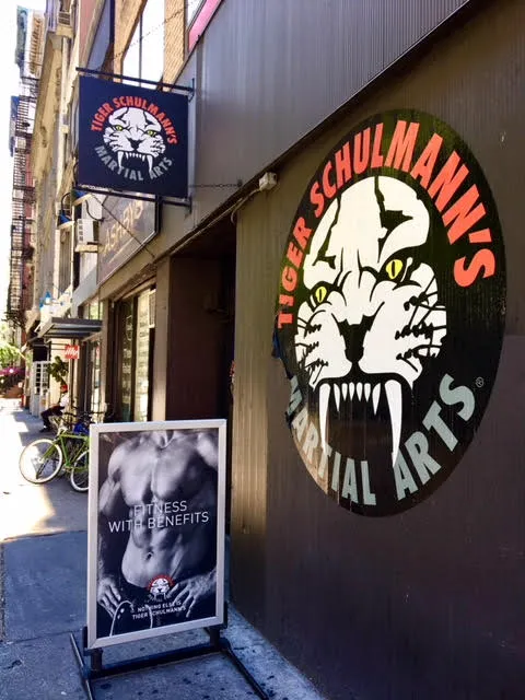 Tiger Schulmann's Martial Arts (Chelsea, NY) Picture 4