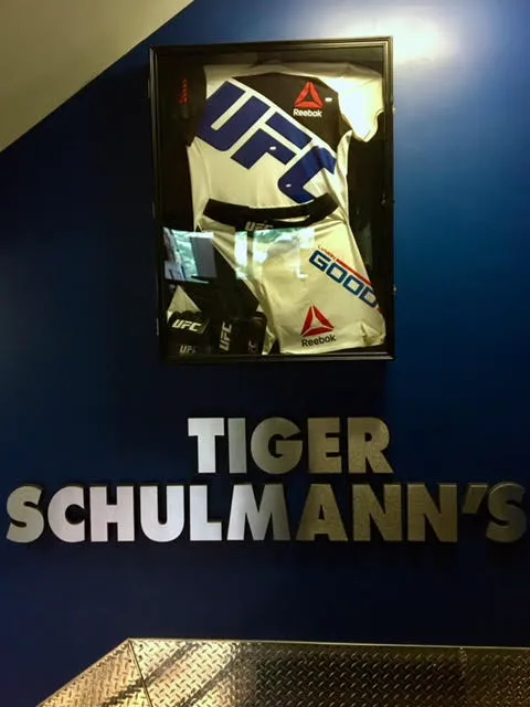 Tiger Schulmann's Martial Arts (Chelsea, NY) Picture 8