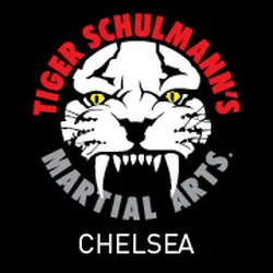 Tiger Schulmann's Martial Arts (Chelsea, NY) Picture 10