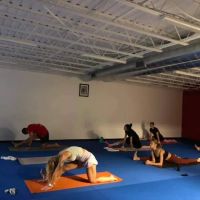 Gracie Barra Westlake Jiu-Jitsu and Self Defense ico