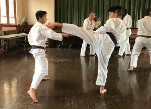 Baltimore Karate Club Inc Picture 4