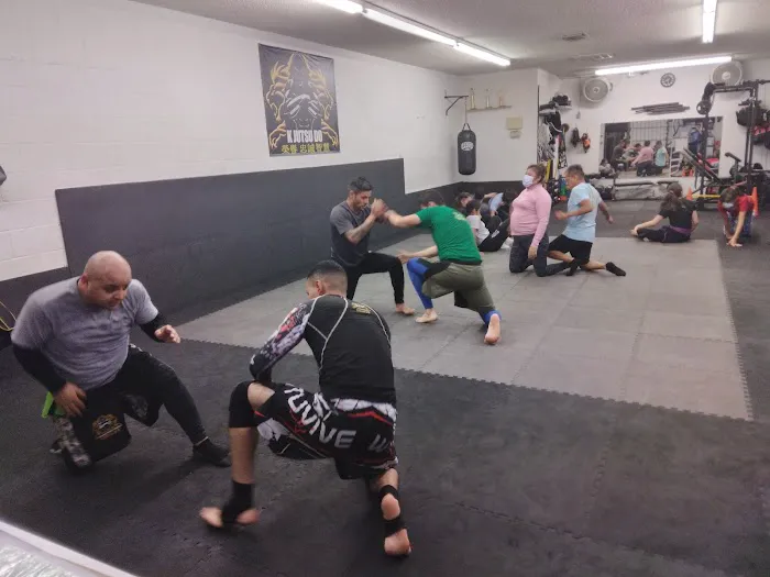 K Jutsu Do Fights System Picture 3