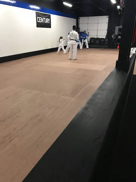 The Path of the Warrior Martial Arts Picture 8