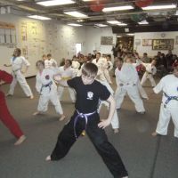 Kicking Tigers USA Taekwondo ico