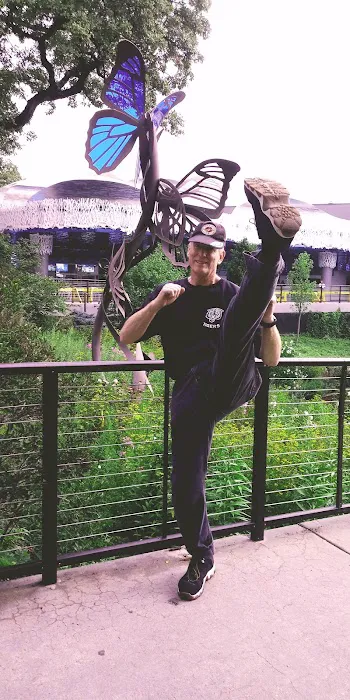 Kicking Tigers USA Taekwondo Picture 3