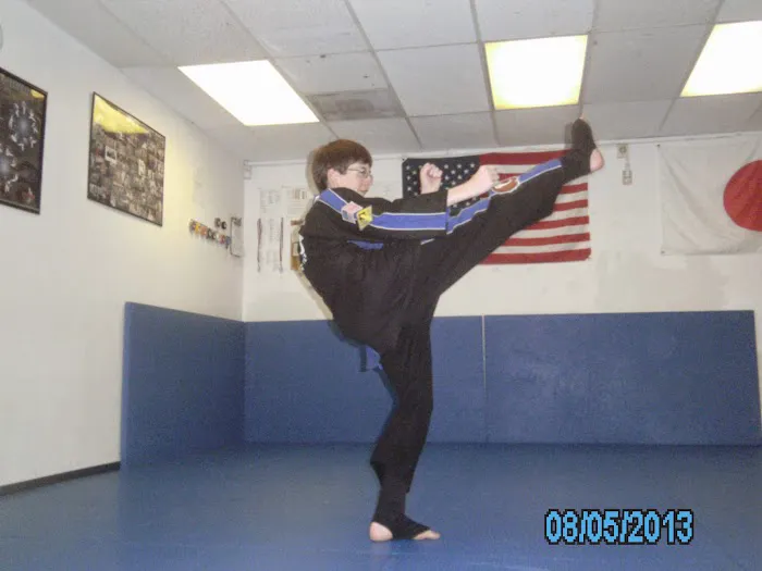 Kicking Tigers USA Taekwondo Picture 8