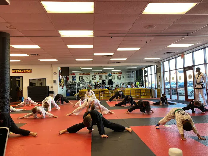 Martial Arts International Picture 3