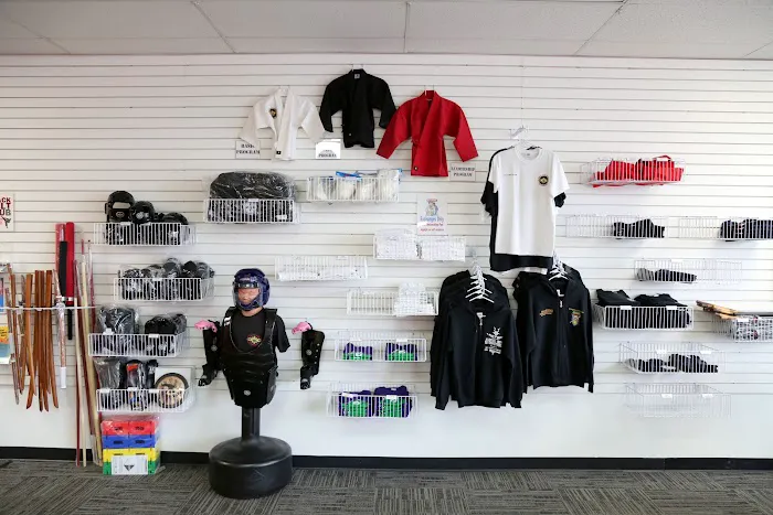 Martial Arts International Picture 4