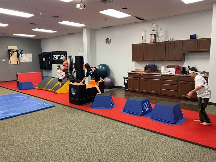 Zanshin Martial Arts Picture 1