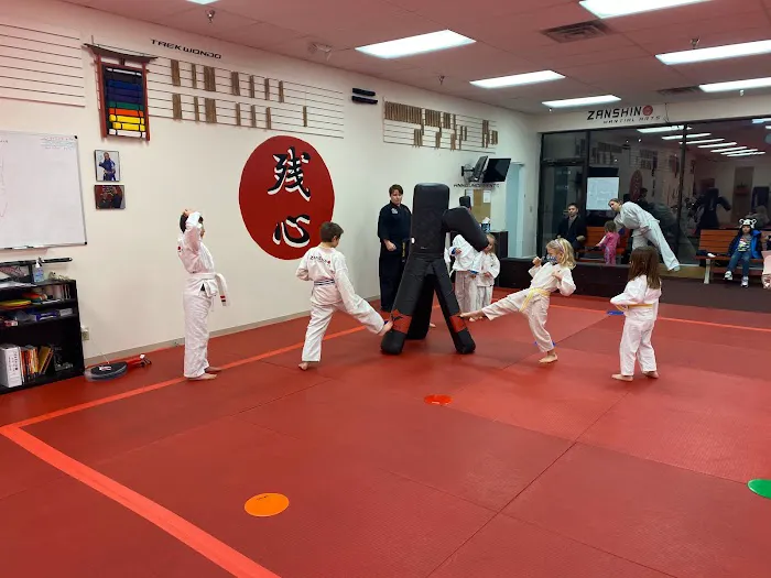 Zanshin Martial Arts Picture 2