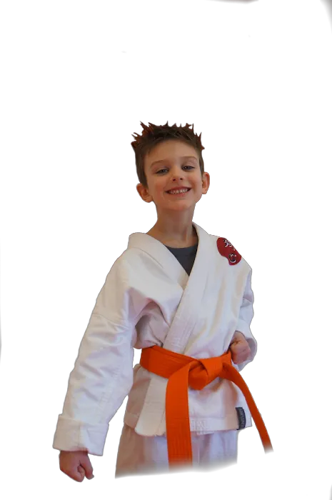 Zanshin Martial Arts Picture 7