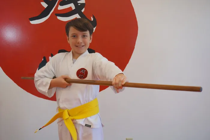 Zanshin Martial Arts Picture 6