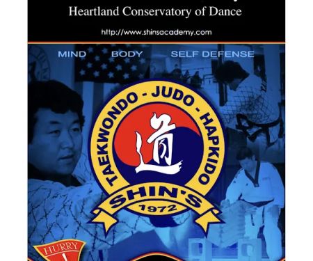 Shin's Academy
