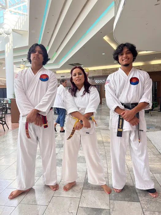 Kicking Tigers Oakview Picture 3