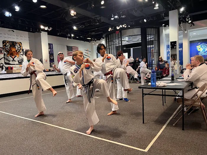 Kicking Tigers Oakview Picture 4