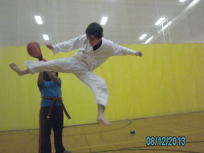 Kicking Tigers Oakview Picture 5