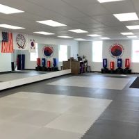 Chung Shin Warrior Tang Soo Do ico