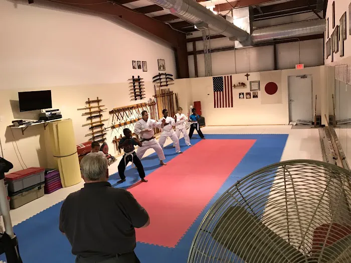 Caldwell's Shin Ryu Kan Martial Arts Instute Picture 1