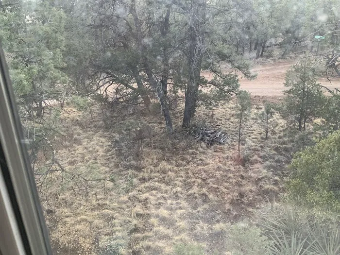 Caldwell's Shin Ryu Kan Martial Arts Instute Picture 9